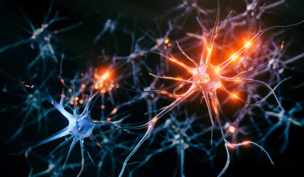 GettyImages-1434534146-ridimensionato-a-1920x1080