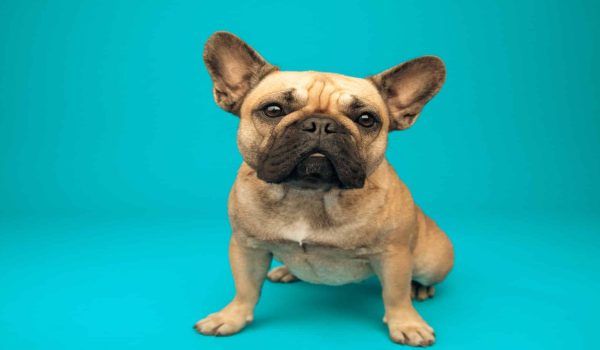 GettyImages-2199401997-ridimensionato-a-1920×1080 GettyImages-2199401997-ridimensionato-a-1920x1080