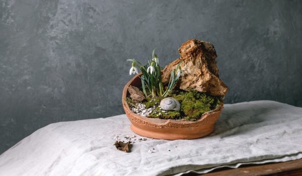 GettyImages-2239232875-ridimensionato-a-1920x1080