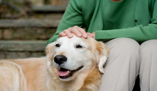 GettyImages-80489928-ridimensionato-a-1920x1080